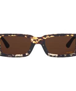 The Desert Tortoise Low Bones